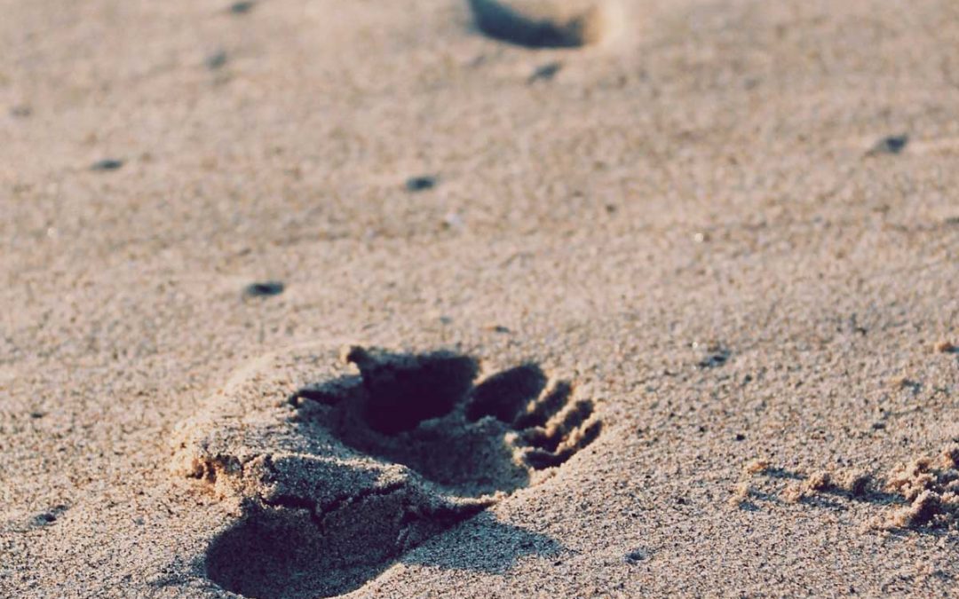 掃除機から調和へ