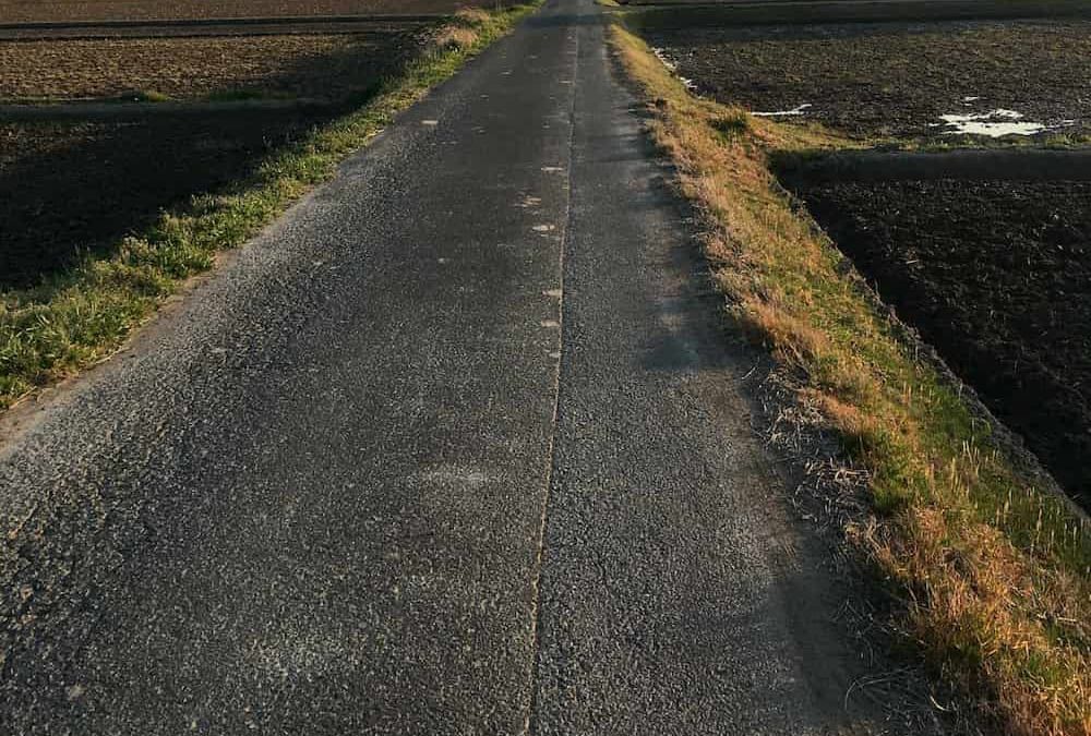 一緒に歩こう