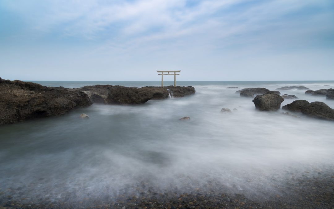 自分の「道」を見つける