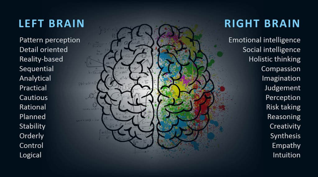 Difference Between Left Brain and Right Brain