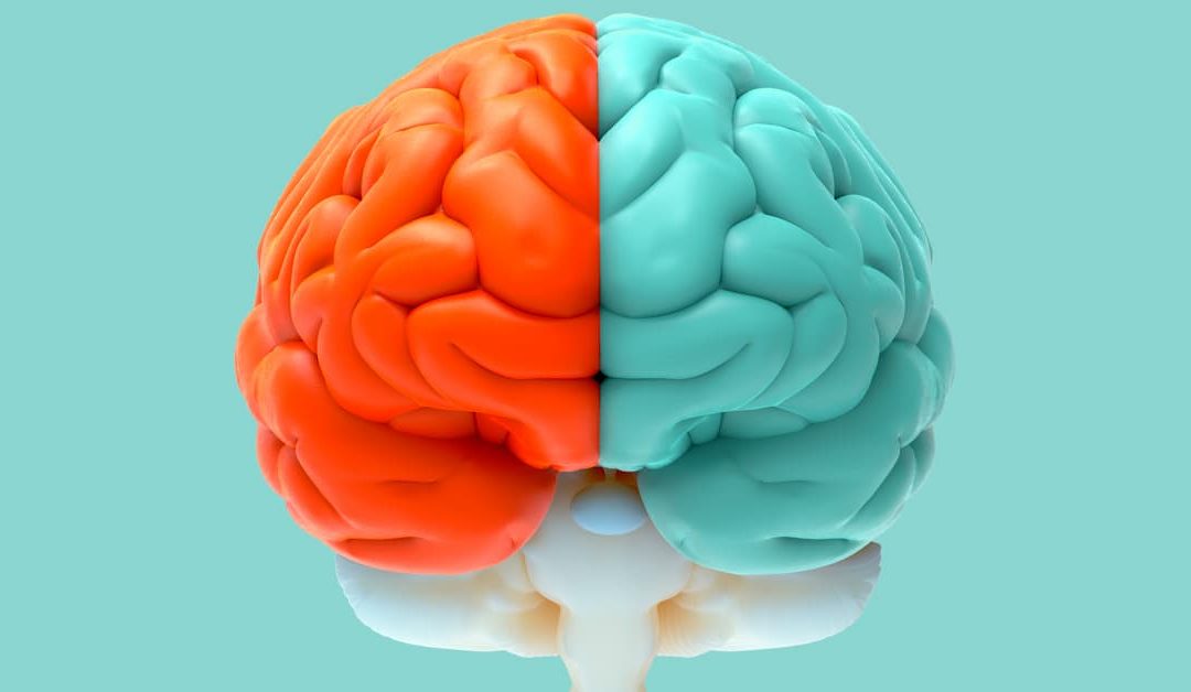 Right-Brain Left-Brain – Part 4