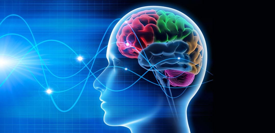Right-Brain Left-Brain – Part 5