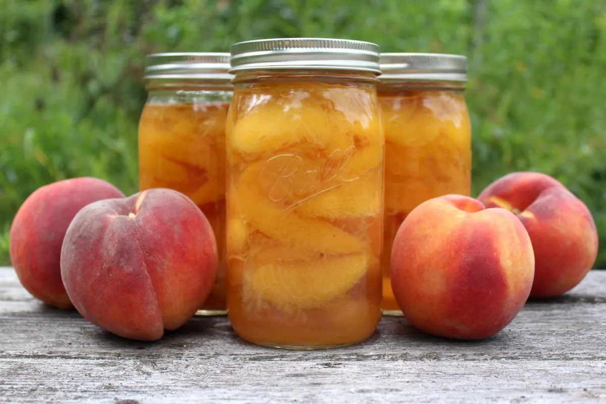 Canning-Peaches- Land Of The Rising Son