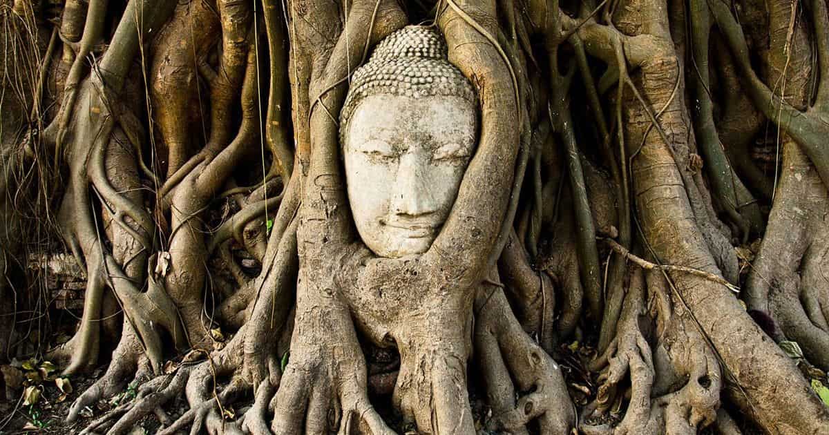 Buddha Enlightenment - Land ΩF The Rising SΩN - cybersensei