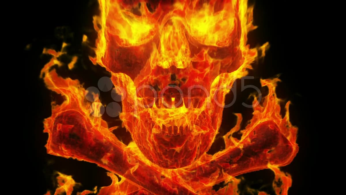 burning-skull-and-crossbones - Land ΩF The Rising SΩN - cybersensei